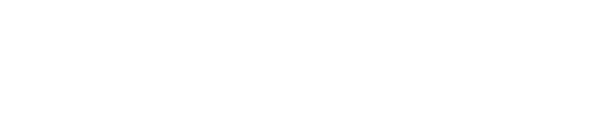 Siko mobility