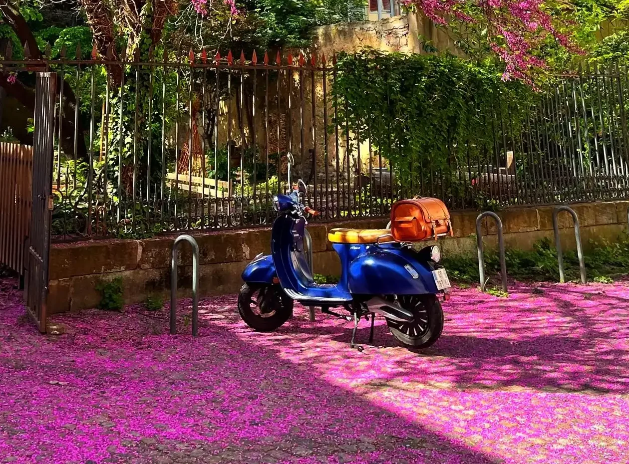 avis_pink_style_bleu
